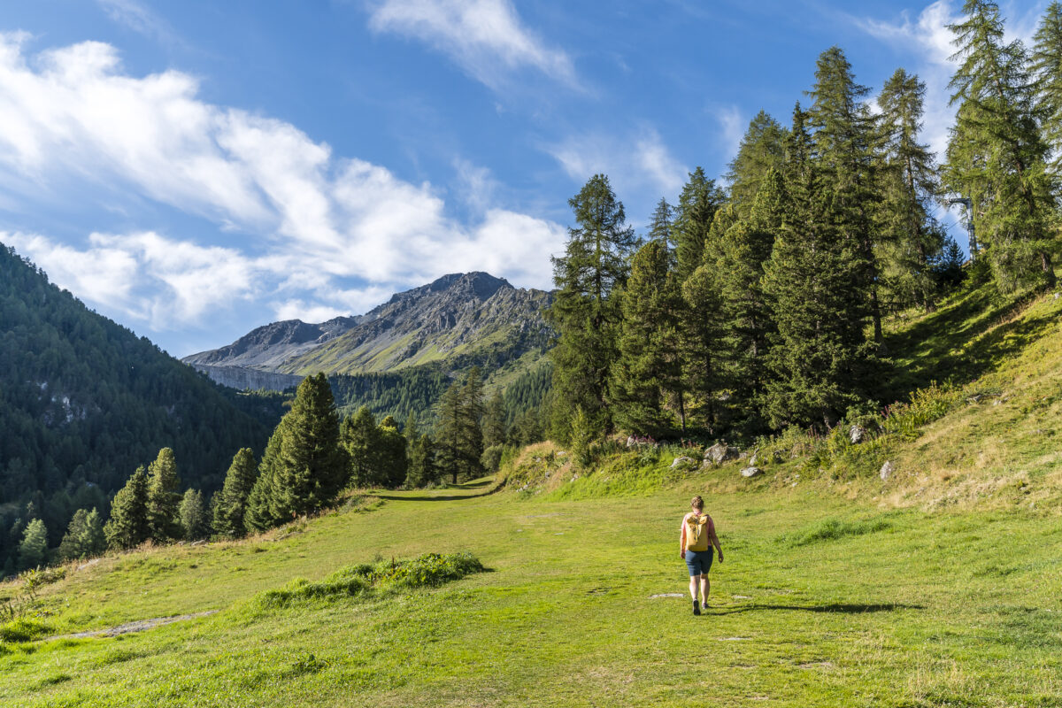 Siviez - Nendaz Hike