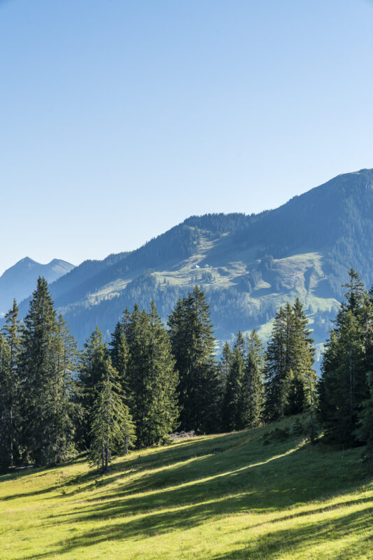 Moorlandschaft Entlebuch Sörenberg