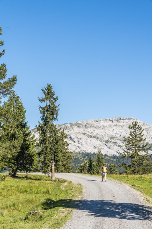 Wanderung Rossweid Salwideli