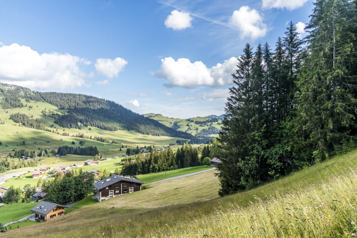 Col des Mosses Wandern