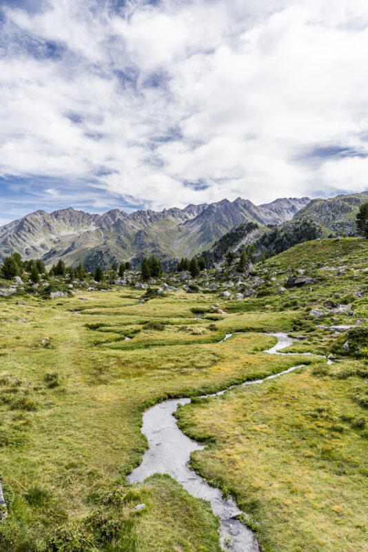 Nendaz Jardin Japonais Wasser