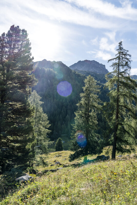 Hiking in Nendaz