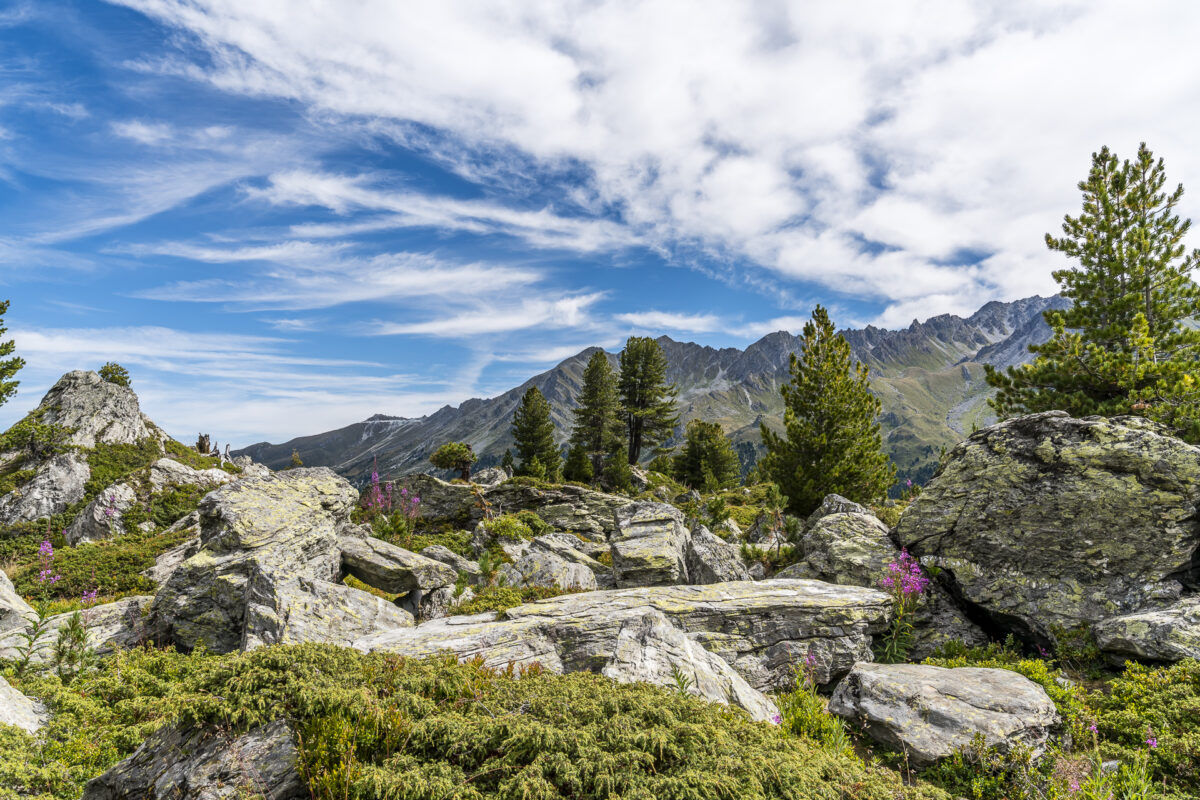 Moränenlandschaft