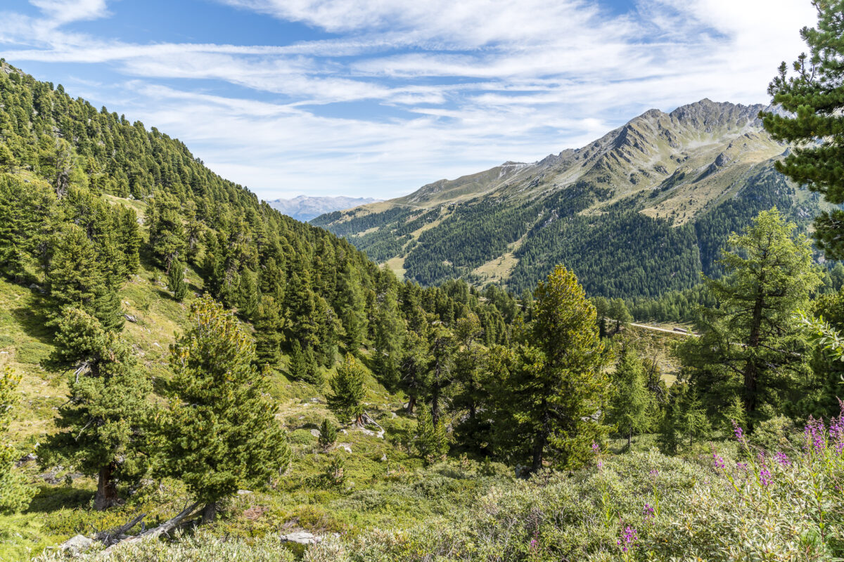 Wanderrouten in Nendaz