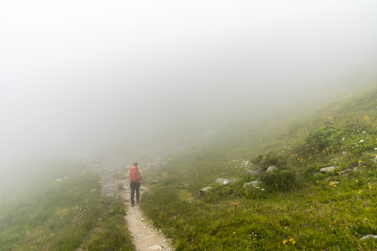 Alpenpässeweg Alp Bovine