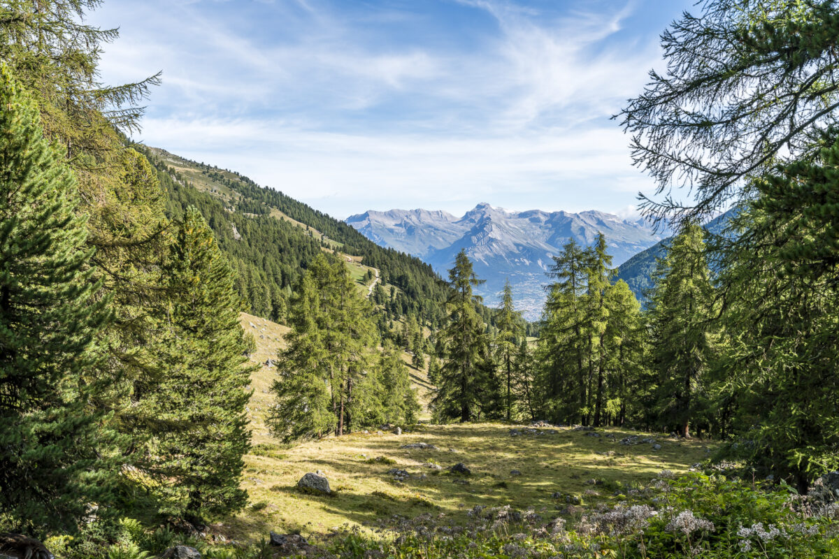 Panorama bei Siviez