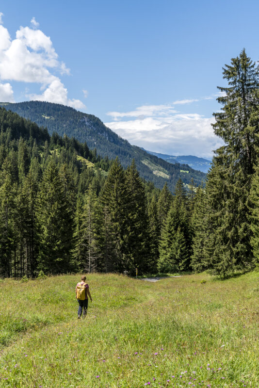 Sapün Schanfigg Wanderung