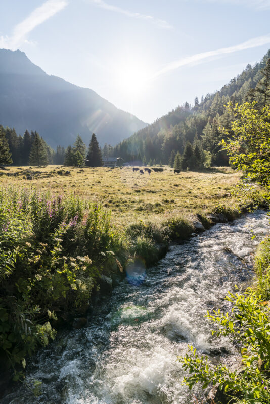 Val d'Arpette Wallis