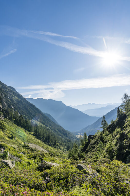 Barme Val d'Arpette