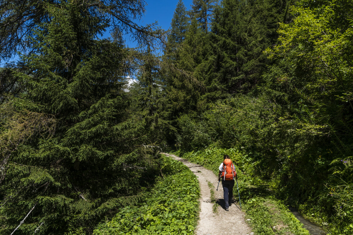 Bisse du Trient