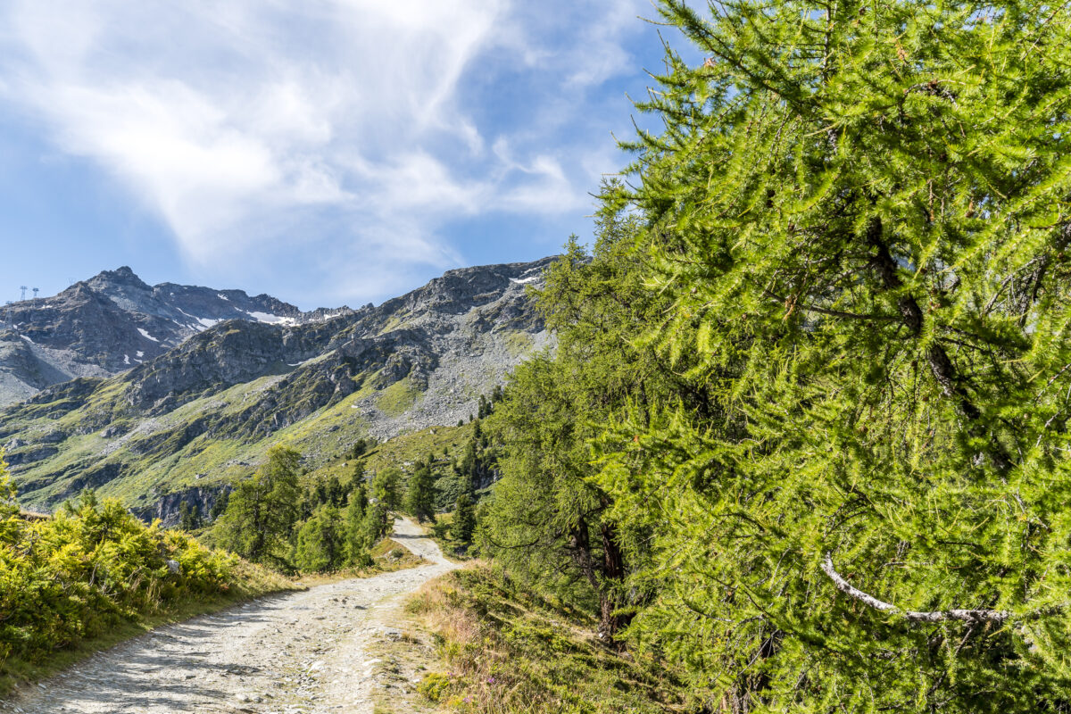 Wanderwege Nendaz