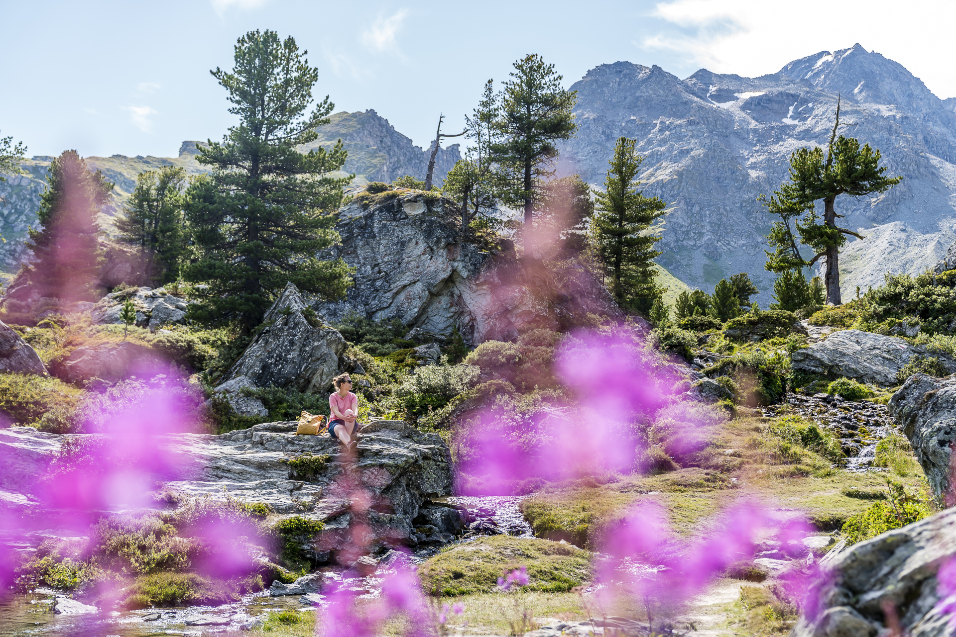 Jardin Japonais in Nendaz