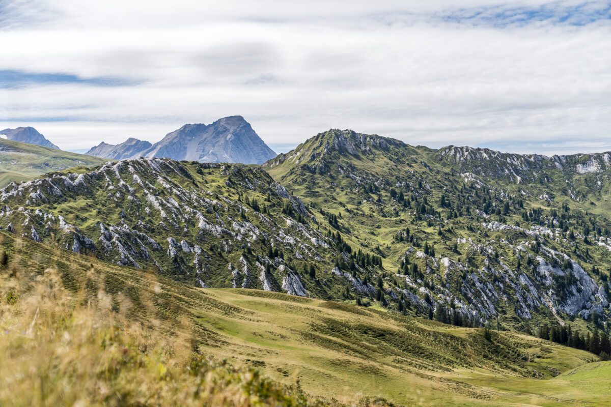 Leiterli Lenk Alp Panorama
