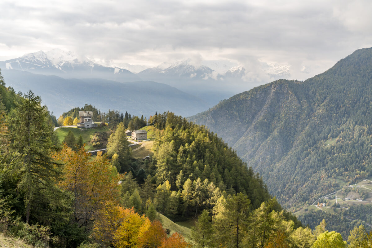Herbst Via Valtellina