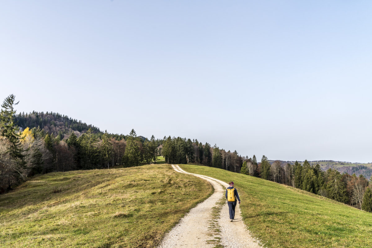 Jura Höhenweg Grenchenberg