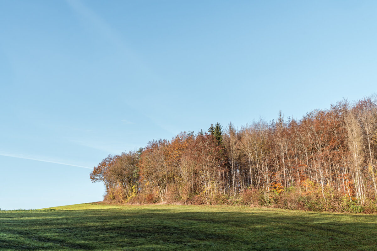 Schaffhauserland im Herbst