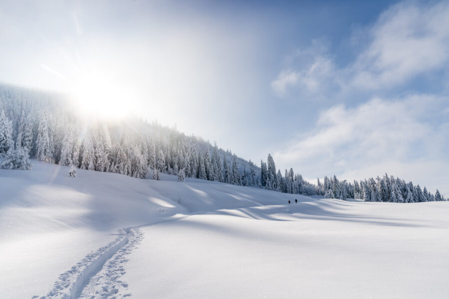 Biberegg Herrenboden Schneeschuhtrail Sattel