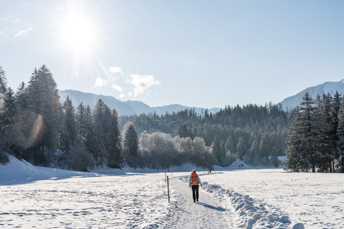 Winterwanderung Trin Flims