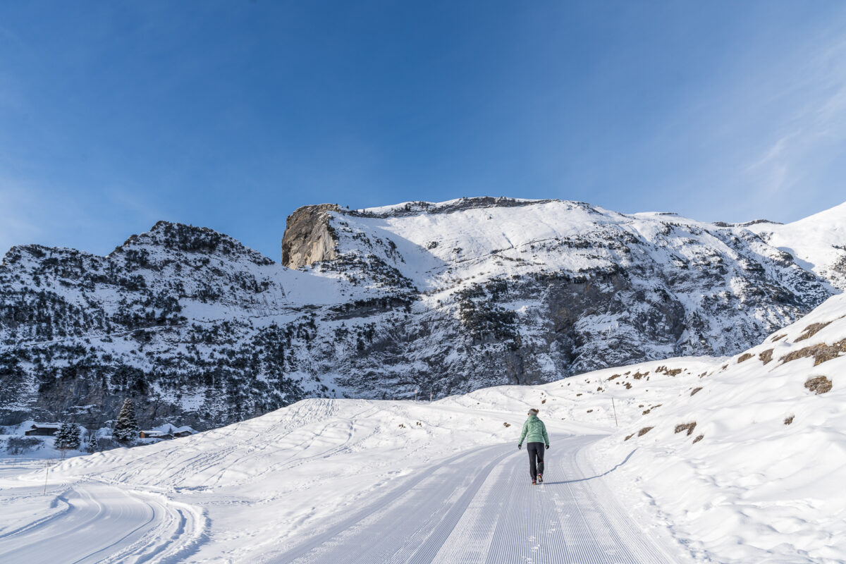 Winterwandern Bargis