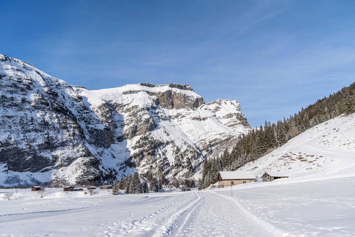 Bargis-Rundweg Winter