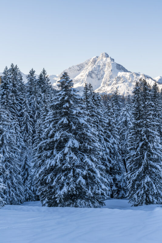 Amden Arven Panorama