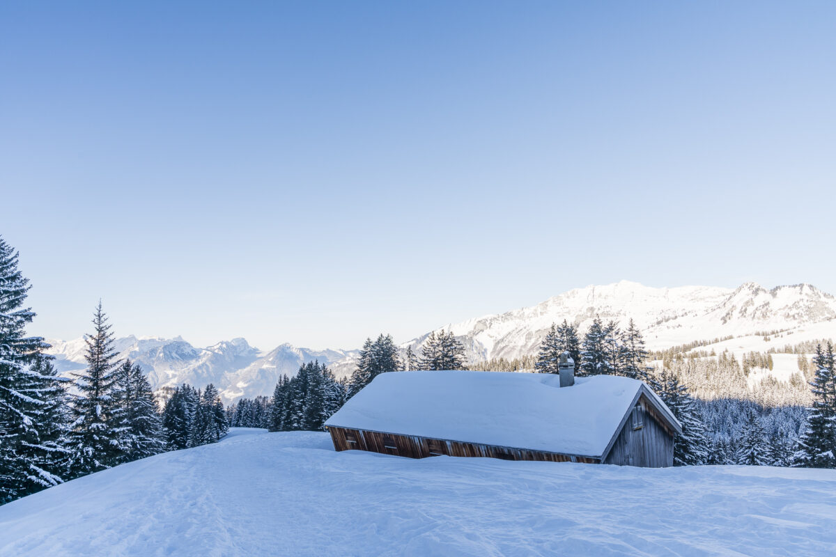 Schneeschuhwandern Arvenbüel