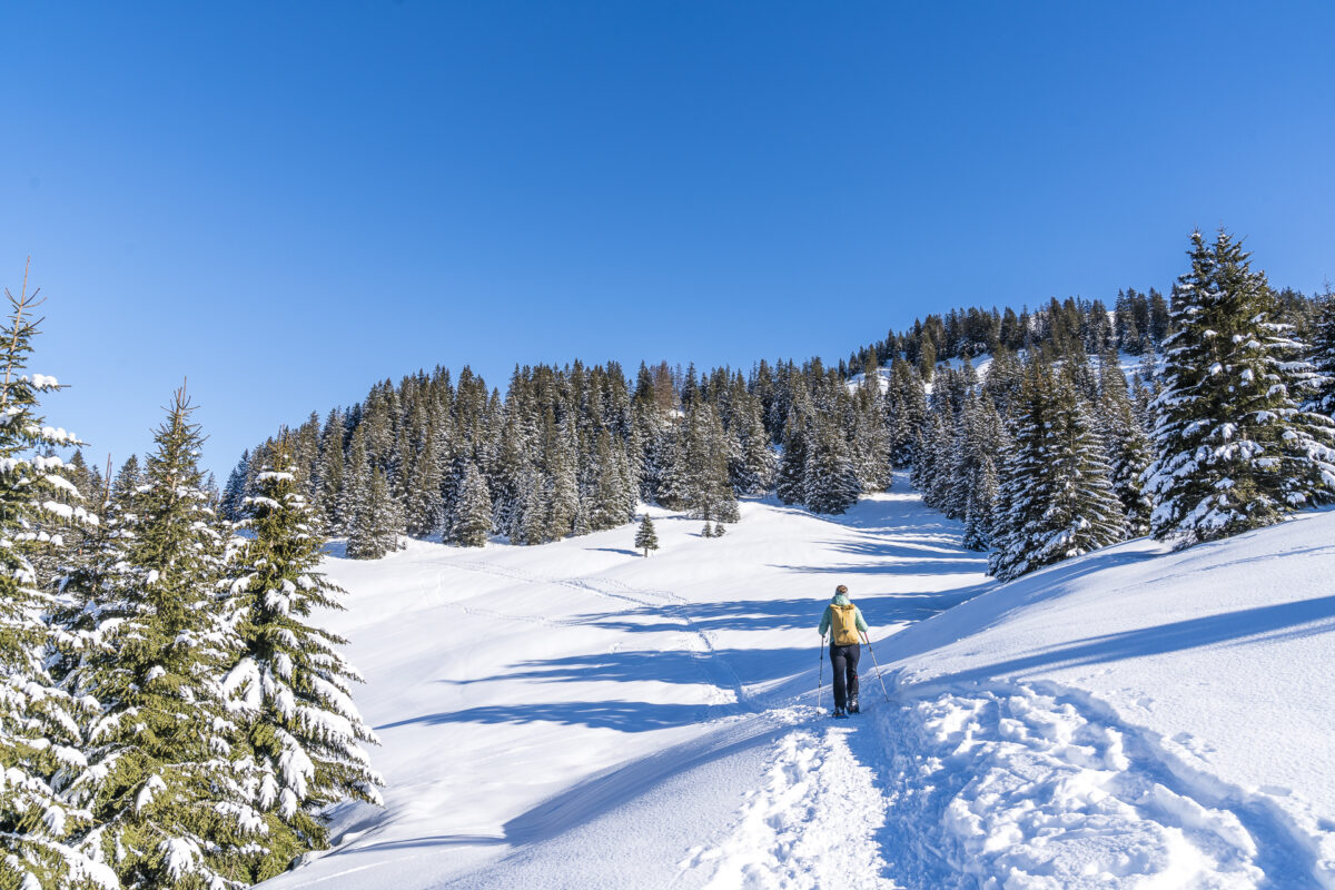 Schwarzenegg Trail Amden Arvebüel