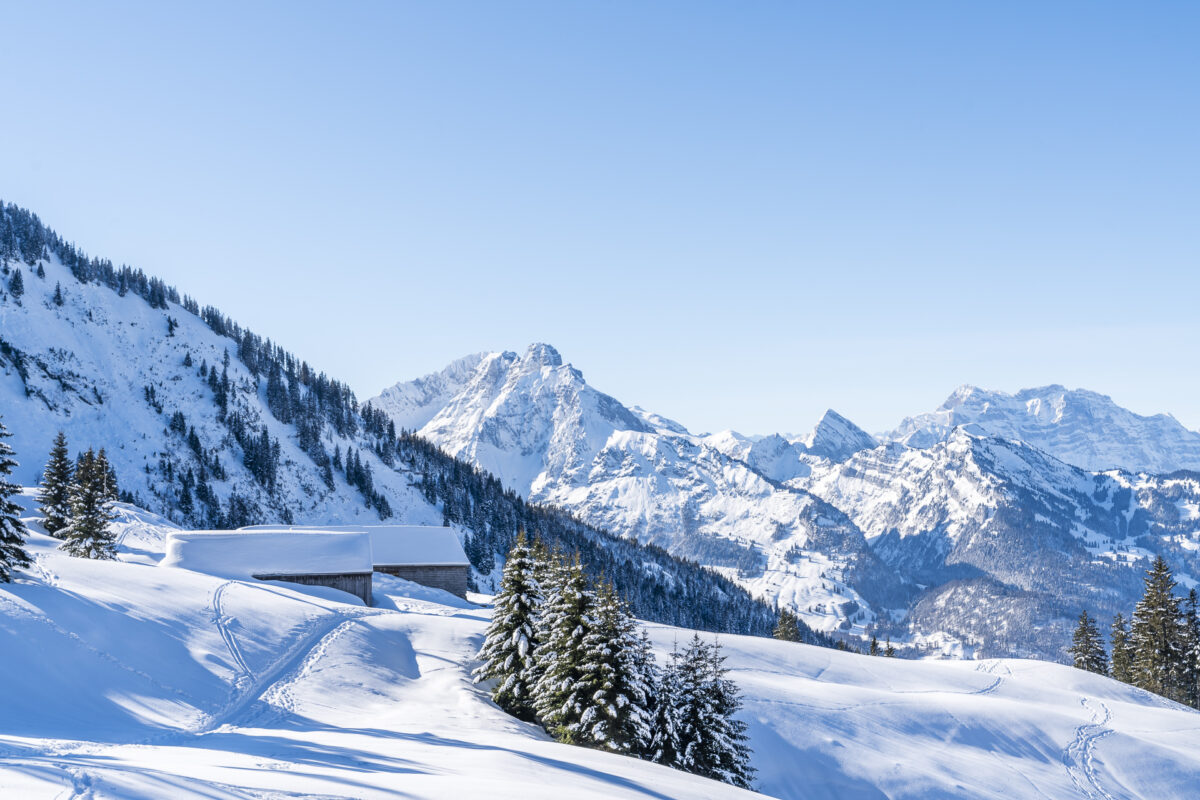 Winterpanorama Arvenbüel