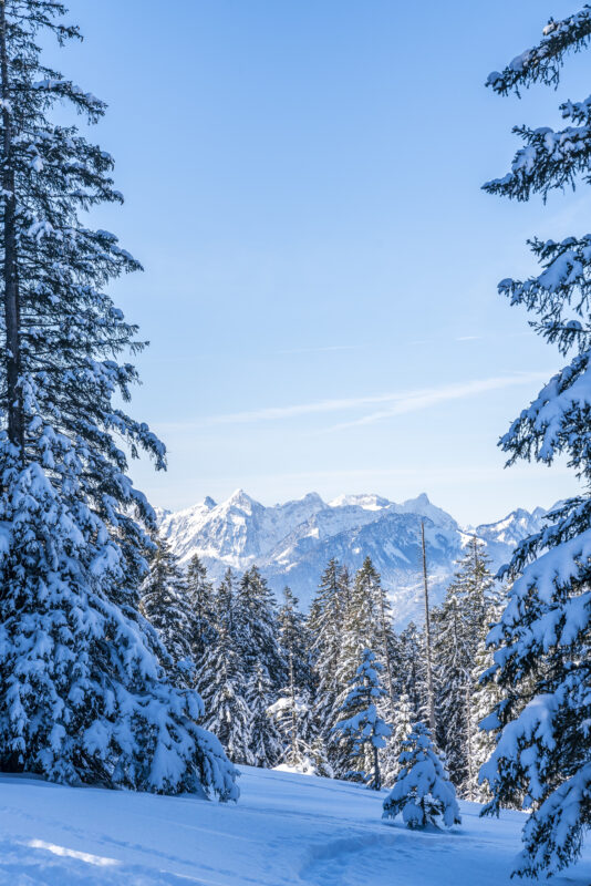 Schneeschuhwanderung Arvenbüel