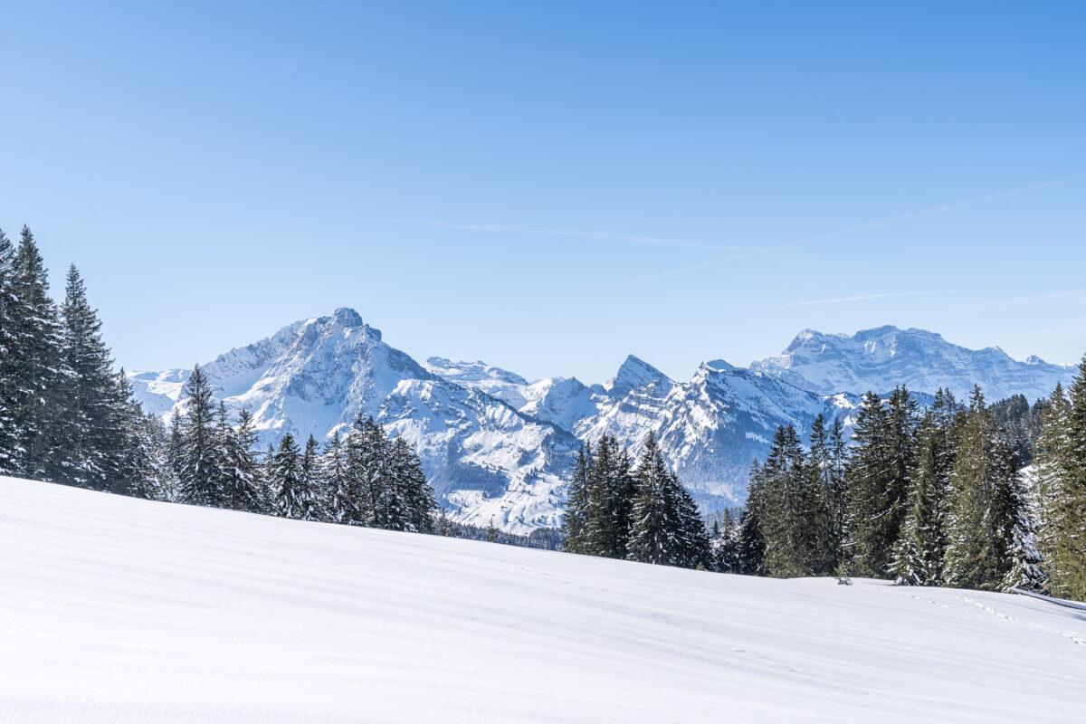 Panorama Altschen Arvenbüel