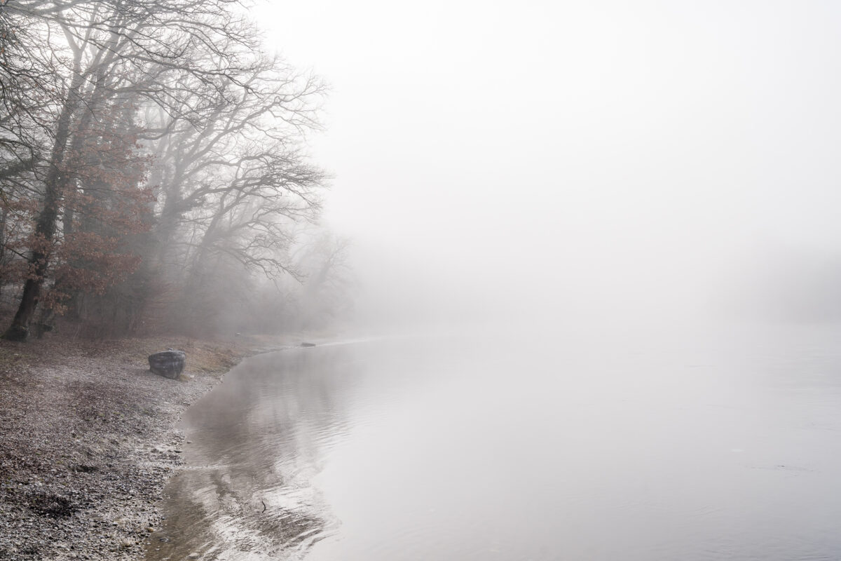 Rhein Nebel