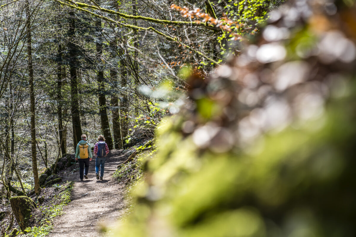 Wanderung Twannbachschlucht