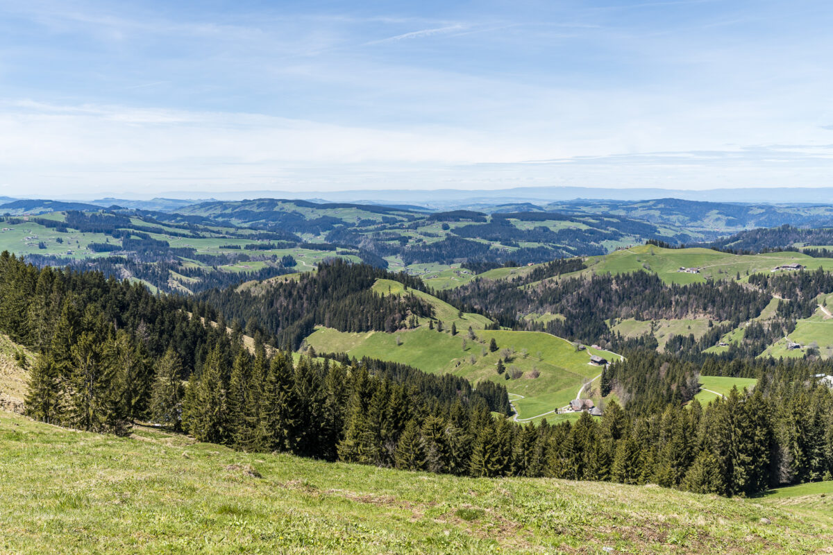 Aussicht Wachthubel