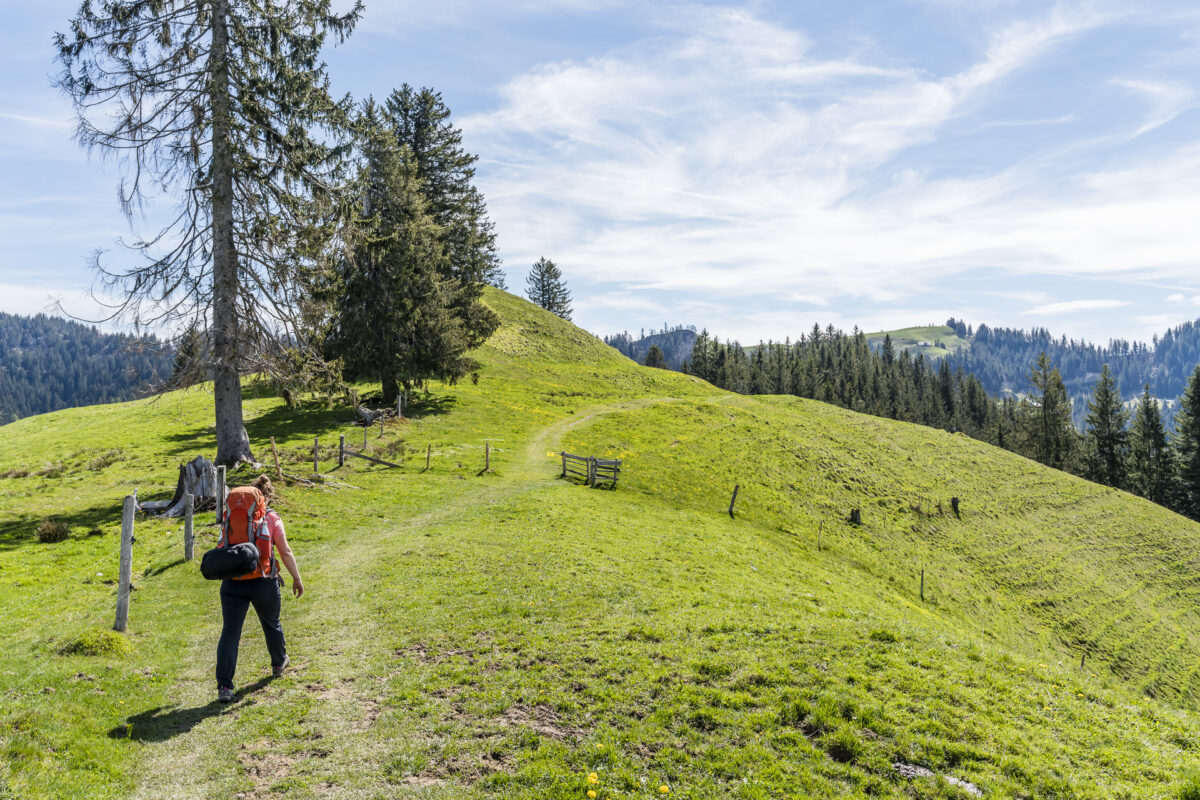 Lüdernalp Wandern