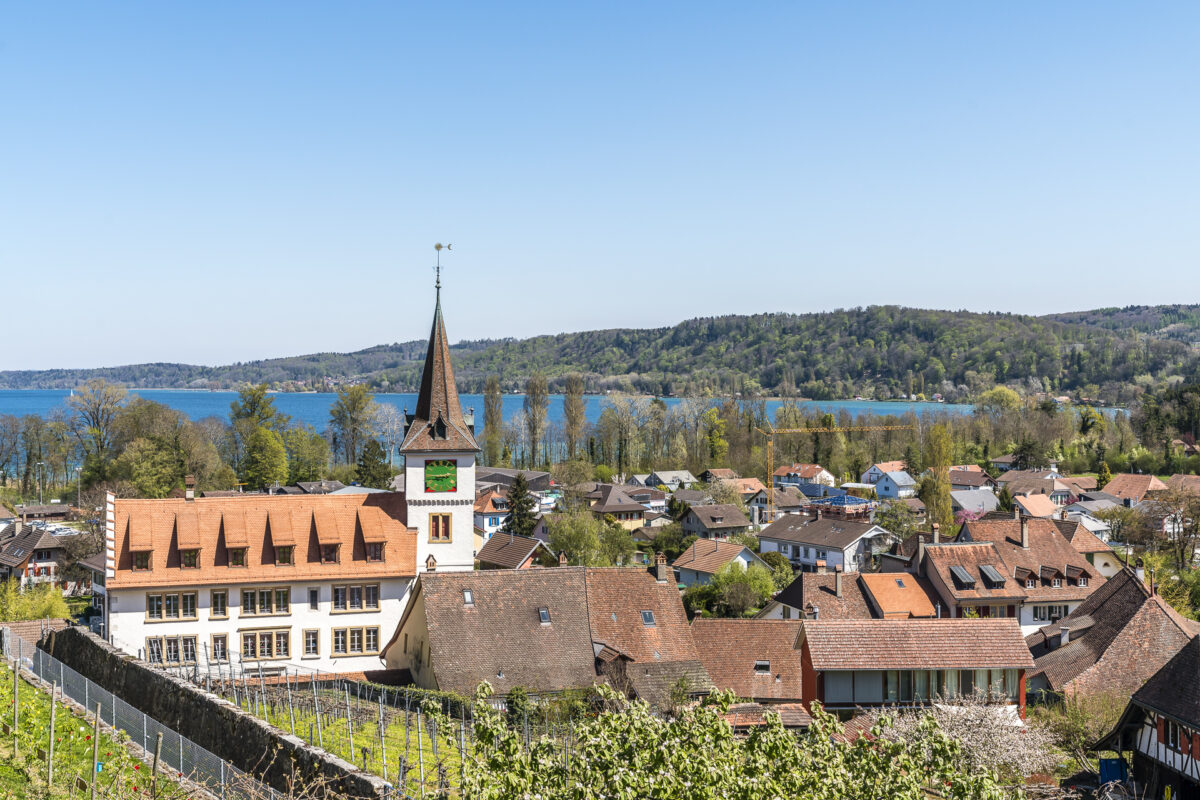 Panorama Schloss Erlach