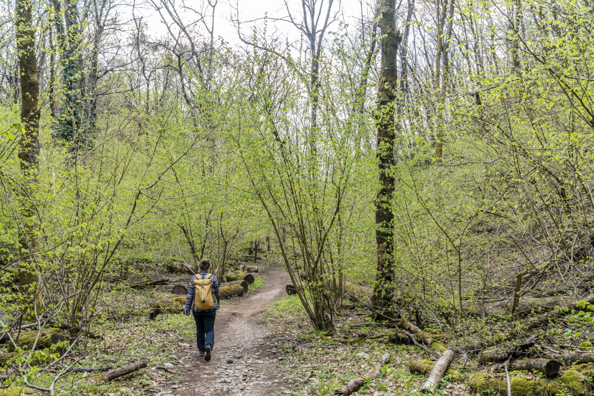 Rundwanderung Arcegno Monte Verita