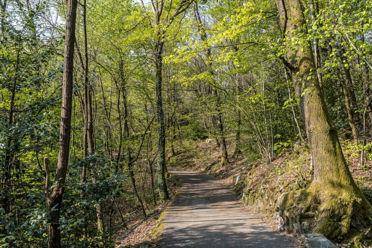 Rundwanderung Monte Verita