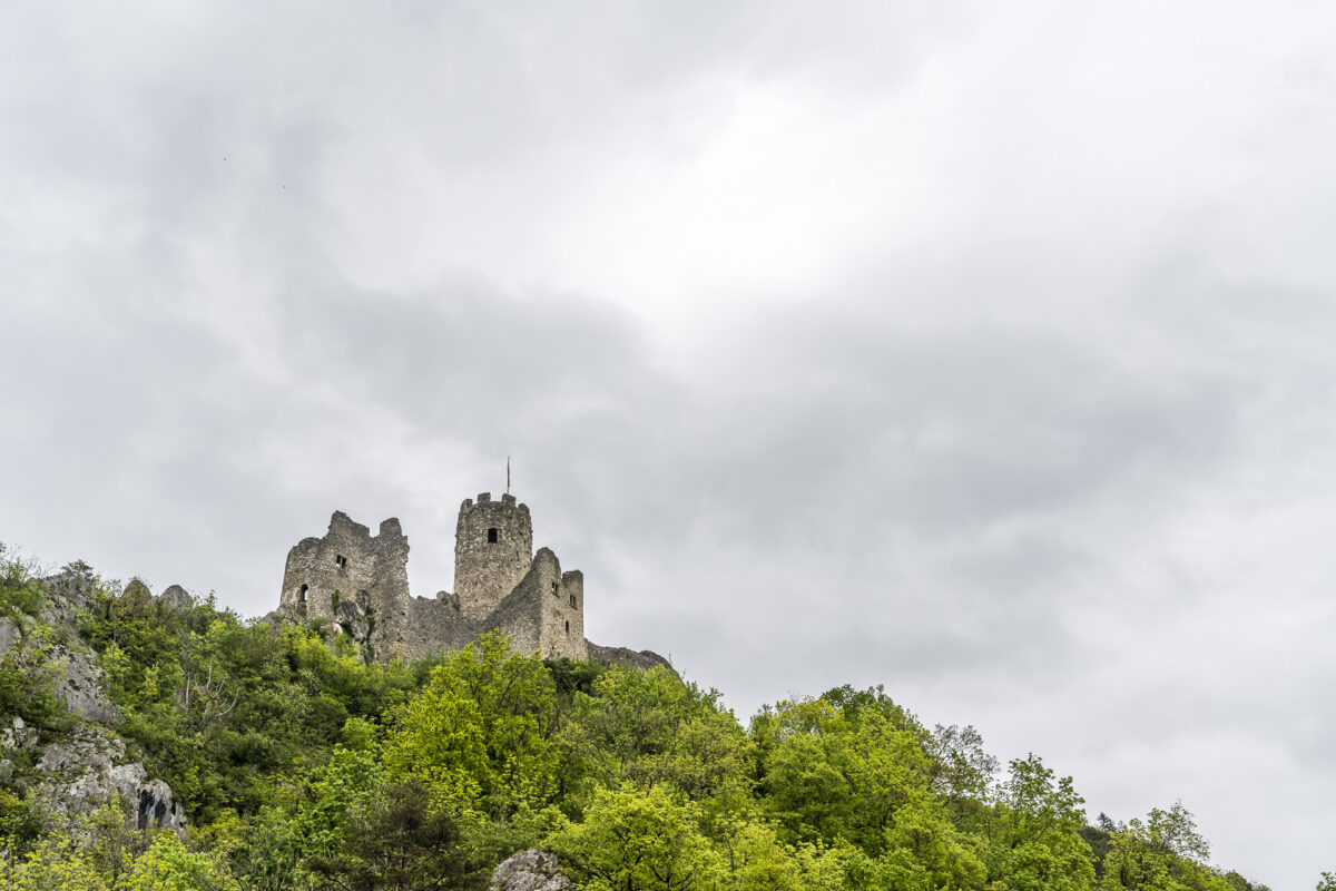 Ruins of Neu Falkenstein Castle