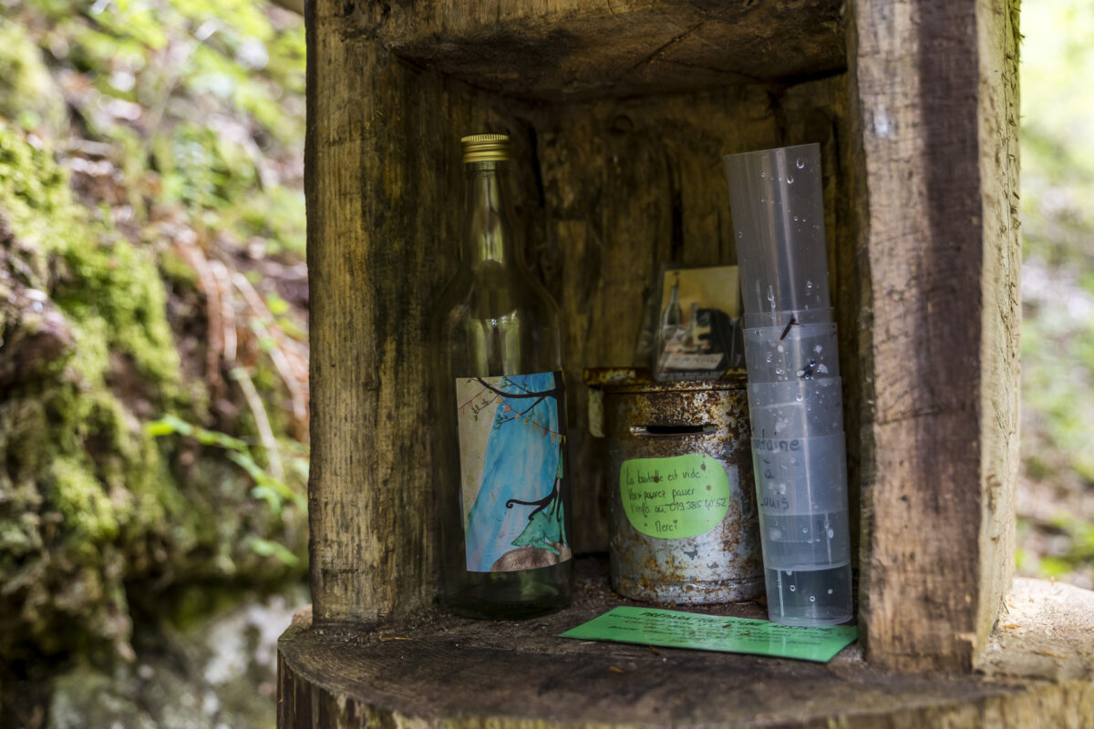 Absinthe in the forest