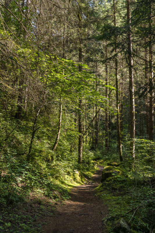 Luis-Trenker-Steig Imst Hike