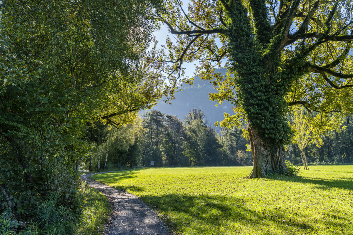 Weesen Wanderung