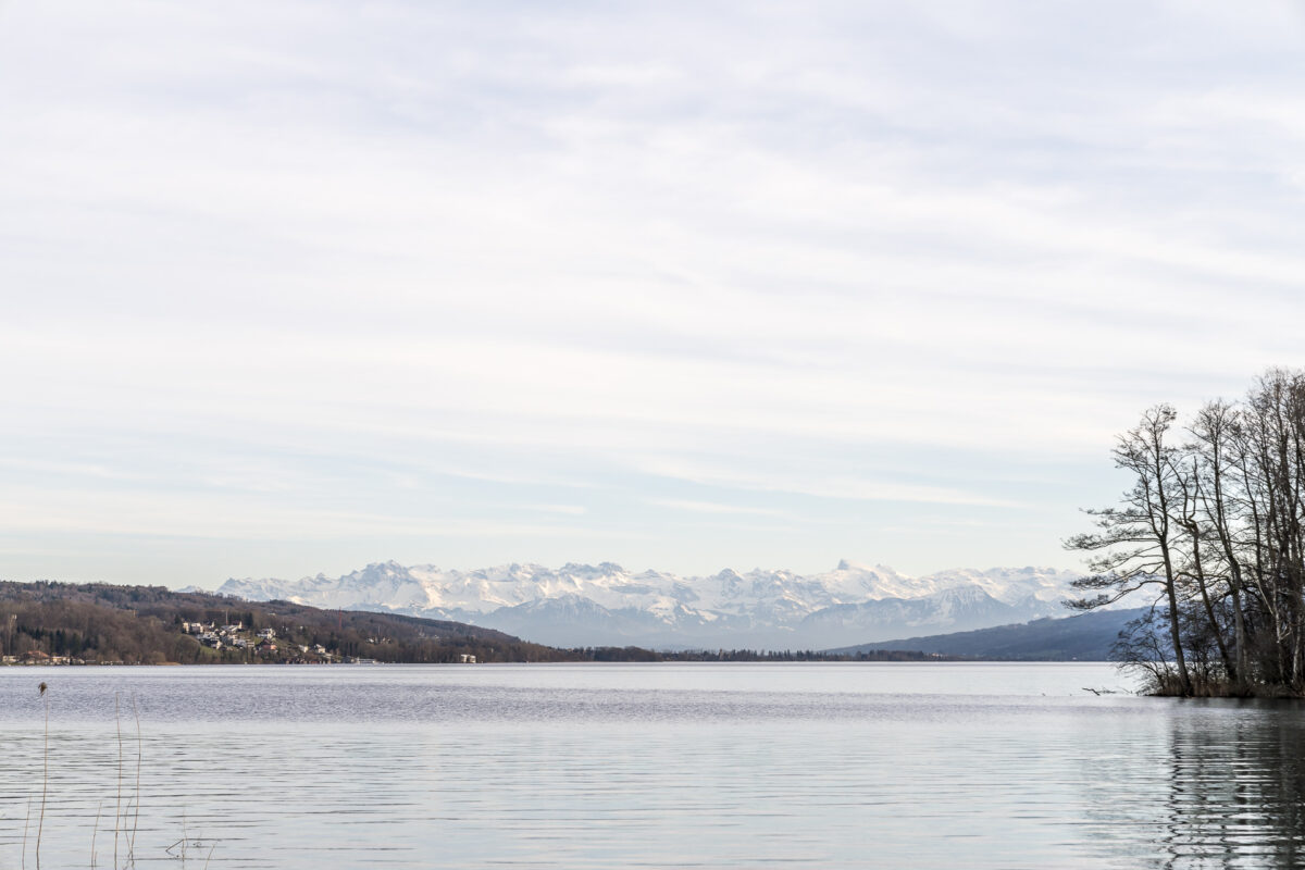 Hallwilersee Frühling