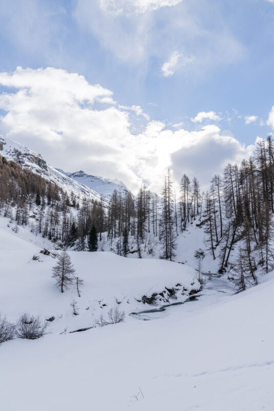 Winterwandern im Val Fex