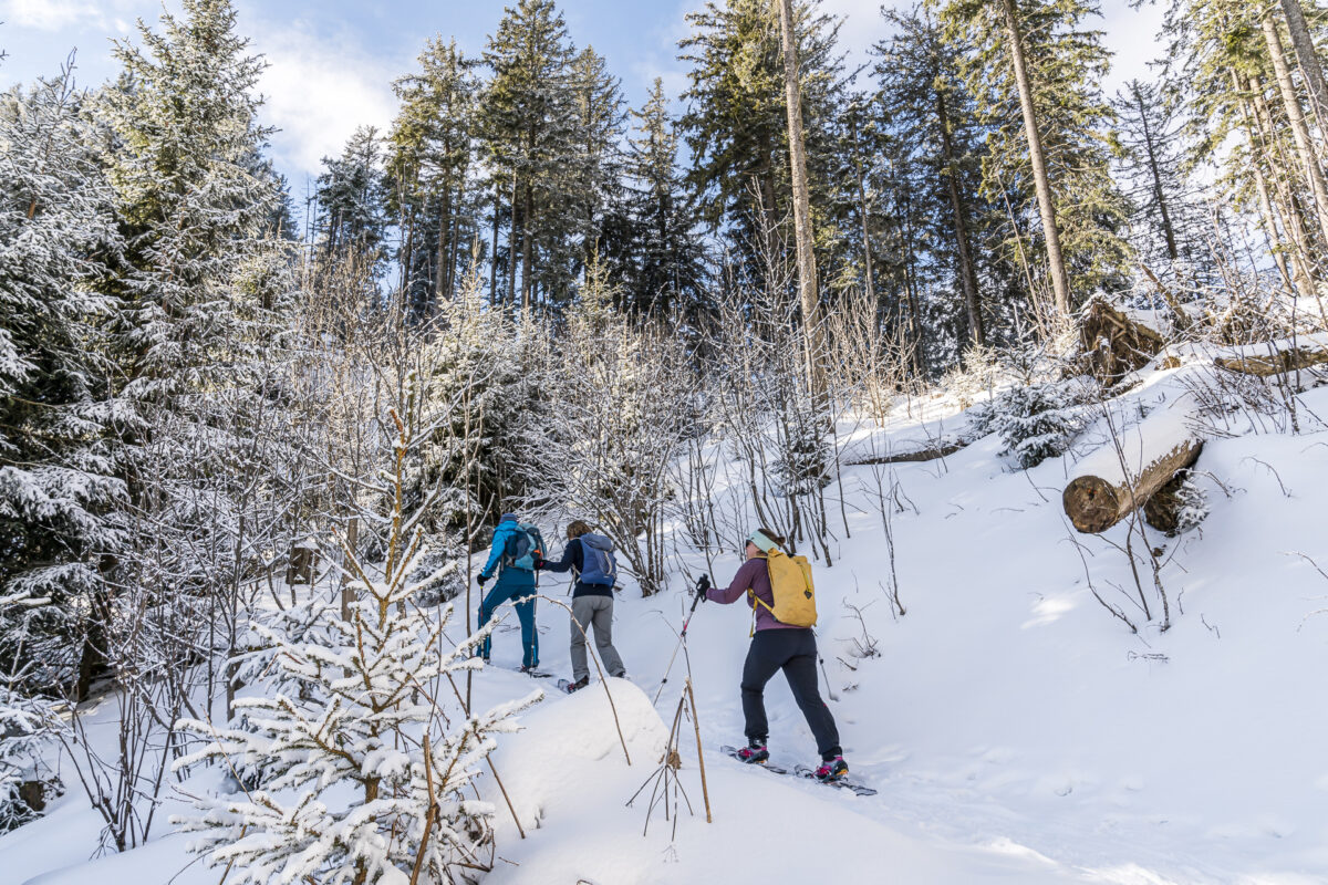 Schwarzenbühl Gurnigel Snowshoe Trail