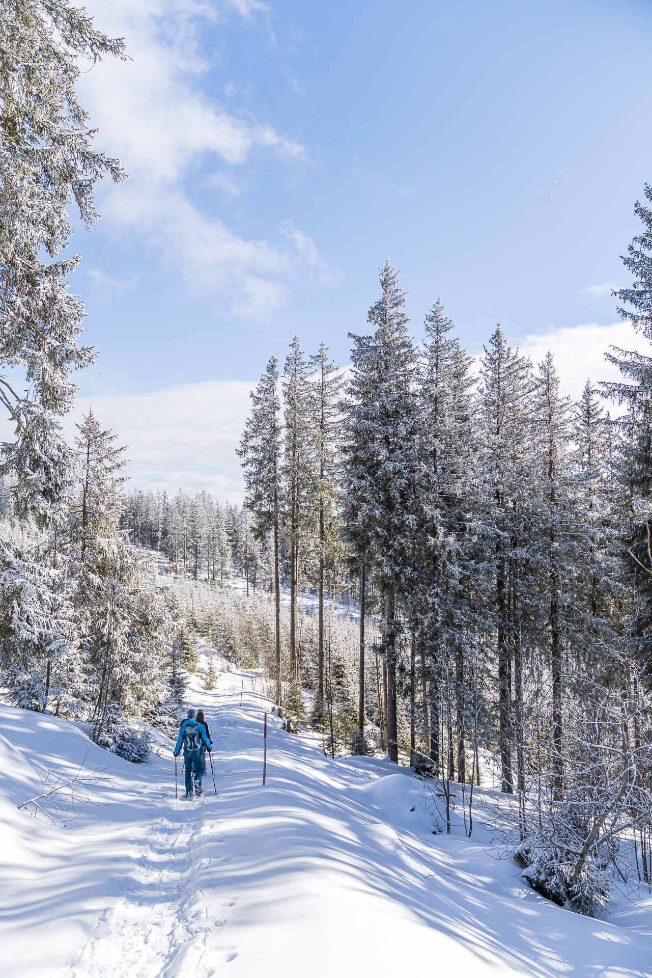 Schneeschuhwandern Gurnigel