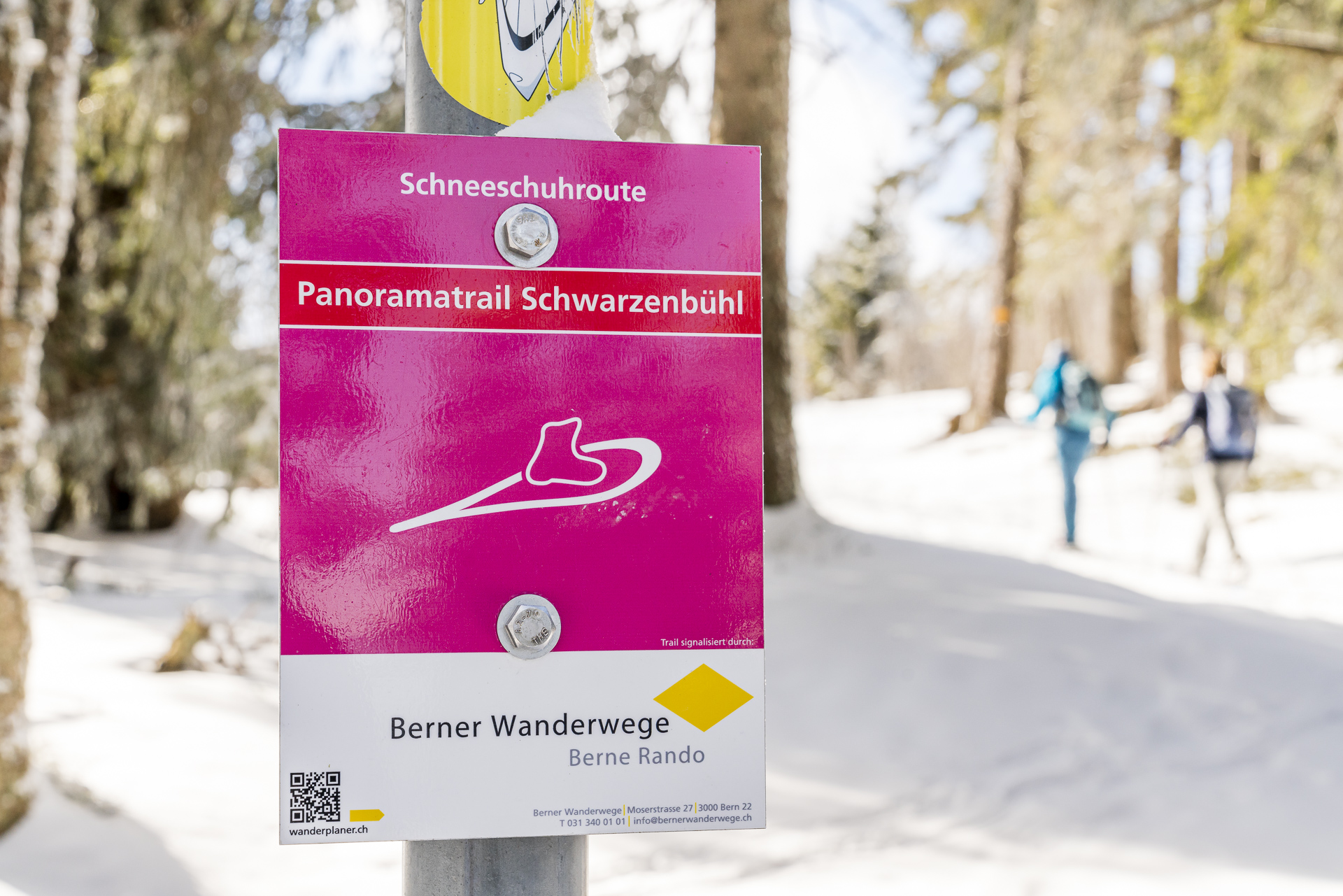 Schild Schneeschuhtrail Schwarzenbühl