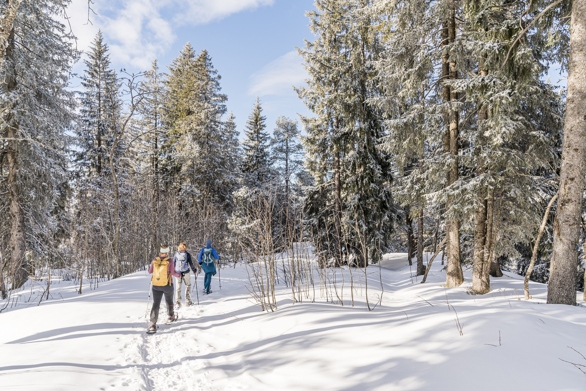 Schneeschuhtour Pfyffe