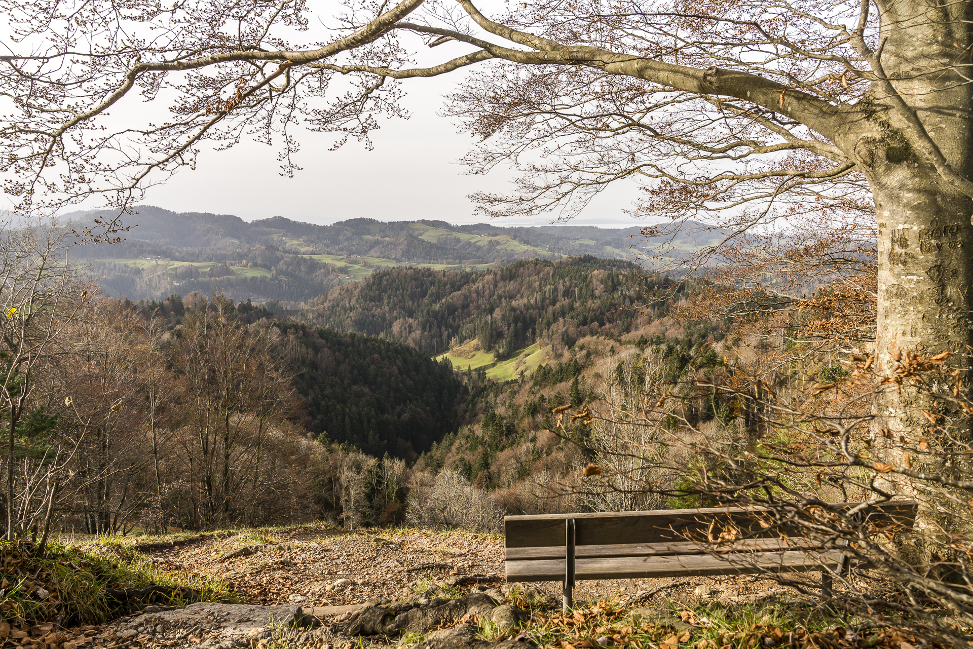 Wanderung Hörnli