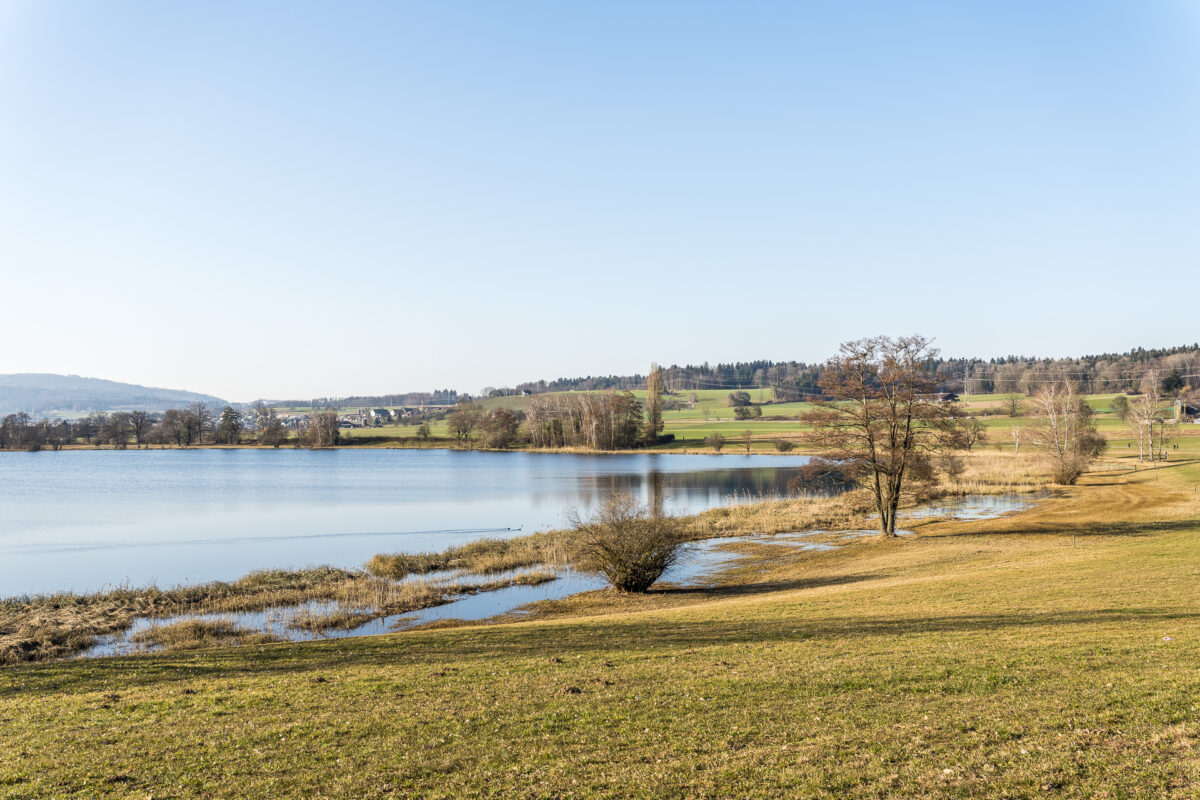 Hike around the Katzensee