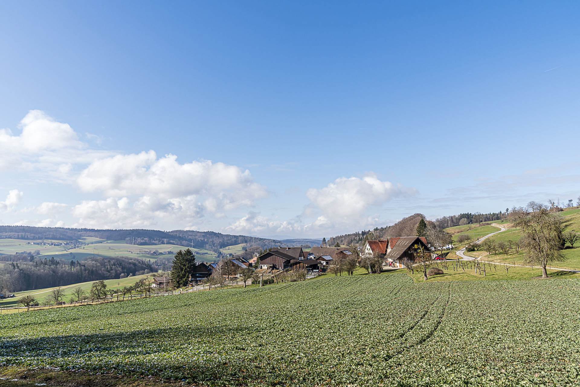 Vogelsang Aargau